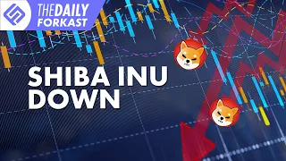 What's Behind Shiba Inu's Downtrend? | The Daily Forkast