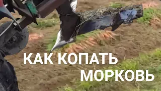 Как копать морковь минитрактором