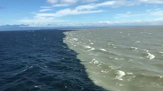 Грязная вода в Черном море не считая течений и прочего...)