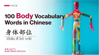 【身体部位】100 Human Body Chinese Vocabulary Words and Fun Idioms｜100个中文词汇及与身体有关的俗语帮你提升口语表达能力