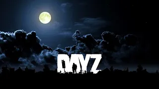 Копим деньги на стволы- DAYZ-PVE, приятного просмотра друзья))) #развлечение#юмор#ситуации#