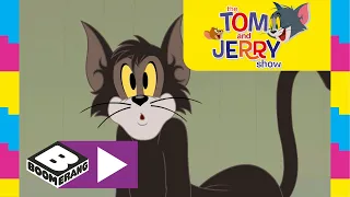 Tom and Jerry | Best of Butch | Boomerang