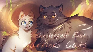 |Warriors Cats|🌌Cinderpelt Edit🌌