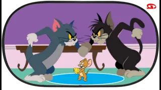 Tom and Jerry: Chasing Jerry (Boomerang Games)