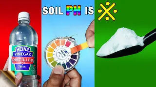 GARDEN SOIL PH TESTING - 3 EASY METHODS | BAKING SODA VINEGAR HACK V/S LITMUS TEST