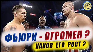 УСИК vs ФЬЮРИ - Прогноз на бой - Александр не достанет?!!! Анализ #бокс