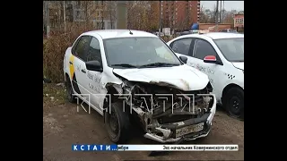 Кабан, выскочивший на трассу, протаранил автомобиль на Московском шоссе