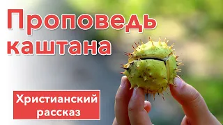 💚 Проповедь каштана - ИНТЕРЕСНЫЙ ХРИСТИАНСКИЙ РАССКАЗ | Христианские рассказы