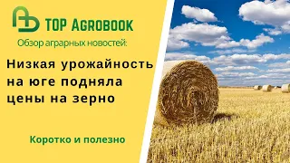 Низкая урожайность на юге подняла цены на зерно. TOP Agrobook: обзор аграрных новостей