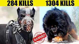 8 Most Strongest Dangerous and Fearless Dog Breeds In Hindi/Urdu |  Strongest Dog Breeds | Pet dogs