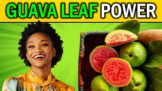 15 Life-Changing Health Benefits of Guava Leaves