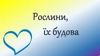 Рослини, їх будова. Онлайн урок. Дистанційне навчання. Нуш.