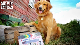 Go Behind the Scenes of A Dog's Purpose (2017)