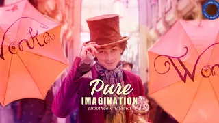 Vietsub | Pure Imagination - Timothée Chalamet | Nhạc Phim Wonka