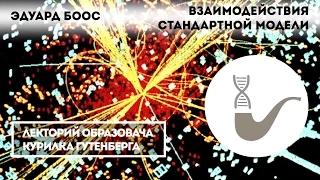 Эдуард Боос - Взаимодействия стандартной модели