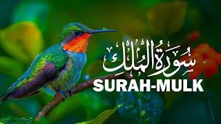 Surah Al Mulk سورة الملك | Beautiful Recitation |  Kalamullah Tv