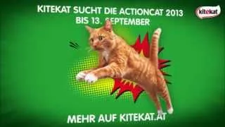 Kitekat ActionCat 2013 - Wochensieger 1