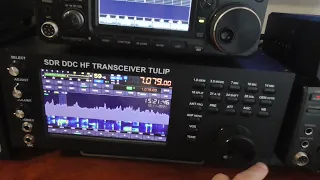 Трансивер SDR  Тюльпан , SDR  Маламут и IC-7300 приём в SSB.