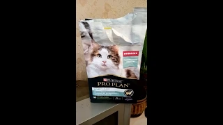 Purina Pro Plan и Кузя