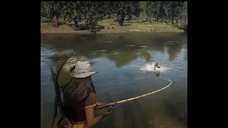 Caught this monster on my line while fishing in the Kamassa River!! 17lbs 13oz Red Dead Online RDR2