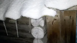 Неизвестное Существо прячется в сарае. Unknown Creature hiding in the Barn