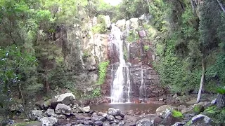 Virtual Treadmill Walk - Minnamurra Falls Rainforest - NSW, Australia