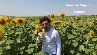 Vlog №2. Алексей Марков. Один день из жизни актера