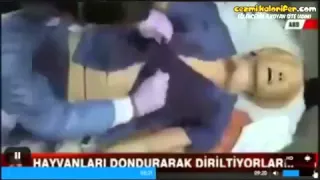 Bilim Adamlarının Ölüyü Diriltmesi