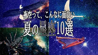 夏の星座10選