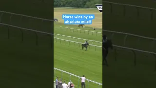 Horse wins by half the track!!