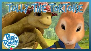 @OfficialPeterRabbit - ❤️🐢 Tolly the Tortoise 🐢❤️ | COMPILATION | Cartoons for Kids