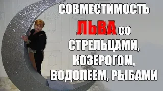 Совместимость знака Льва  со знаками Стрельца, Козерога, Водолея, Рыб