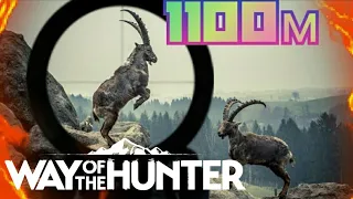 Way Of The Hunter самый дальний выстрел 1100м