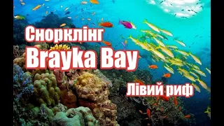 Марса Алам - Brayka Bay - Снорклінг | Феєрія Мандрів