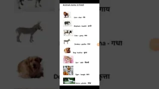 learn hindi through tamil animals names in hindi to tamil and english