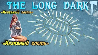 24.04.24❄️THE LONG DARK ️(DLC)✅Гайд по выживанию (НГ)✅Бледная бухта(✅ Жду Авроры