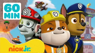 Patrulha Canina | As MELHORES Missões de Resgate! | 1 Hora | Nick Jr. em Português