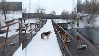 Курорт Краинка в Тульской области