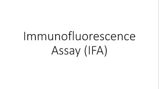 Immunofluorescence Assay (IFA) - Immunology