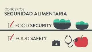 1.1. ¿Qué es la Seguridad Alimentaria?