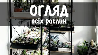 Огляд всіх рослин