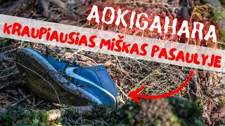 Šiurpiausios pasaulio vietos - Aokigaharos miško tamsioji pusė | Dokumentika | Istorija