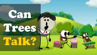 Can Trees Talk? + more videos | #aumsum #kids #science #education #children