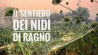 Il sentiero dei nidi di ragno - Italo Calvino