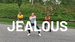DJ Khaled - Jealous ft  Chris Brown, Lil Wayne, Big Sean (Dance Video)