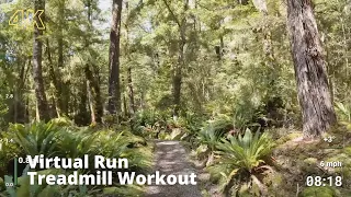 Virtual Run | Virtual Running Videos Treadmill Workout Scenery | Forest Trail to Rainbow Beach