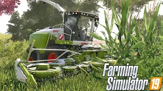 INICIANDO A MAIOR PRODUÇÃO DE SILAGEM || FAZENDAS PARANÁ || FARMING SIMULATOR 19 || #100 G29