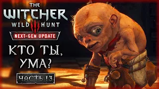 ТАЙНА ПРОКЛЯТИЯ УМЫ! ВОЗВРАЩЕНИЕ В КАЭР МОРХЕН! | Ведьмак 3 Next Gen Update ⚔️ | Часть #13