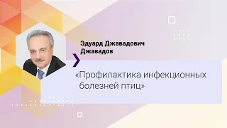 Профилактика инфекционных болезней птиц