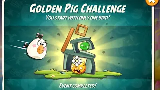 ANGRY BIRDS 2 GOLDEN PIG CHALLENGE MATILDA  24/05/2024